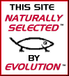 I am the result of evolution.